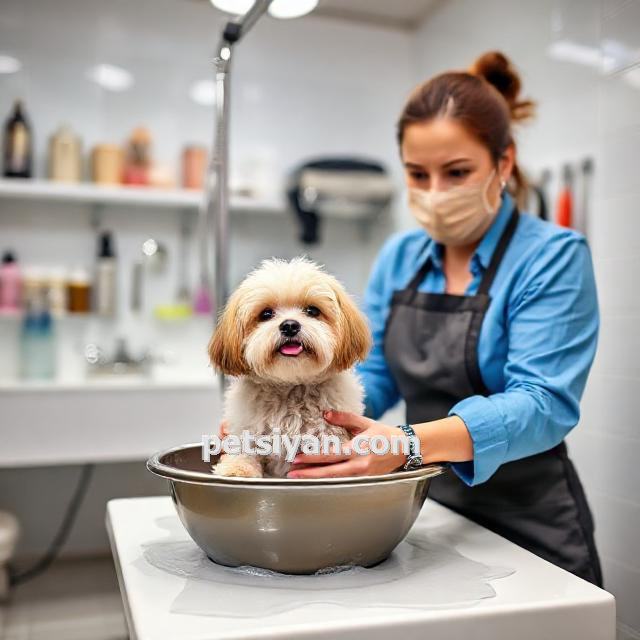 شستشو حیوانات خانگی در کرج حصارک بالا